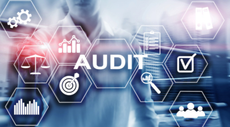 computer symbols and the word audit
