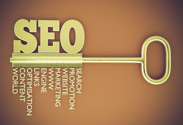 website seo